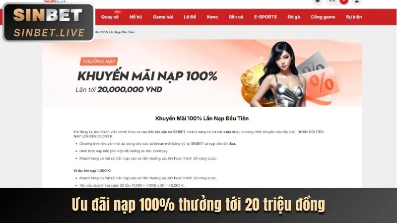 Hình ảnh minh họa thông tin đăng ký và xác minh danh tính người dùng tại 007win20